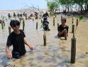 Aksi Tanam Mangrove di Sungai Bakau Kecil, Perkuat Perlindungan Pesisir dari Abrasi