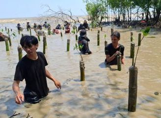 Aksi Tanam Mangrove di Sungai Bakau Kecil, Perkuat Perlindungan Pesisir dari Abrasi