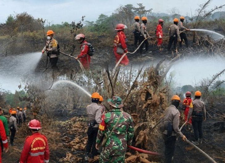 Photo of Prabowo Dorong Kolaborasi Lintas Sektor untuk Tekan Risiko Karhutla