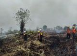 Photo of Tim Siaga Karhutla Brimob Kalbar Padamkan Api di Lahan Kosong Ketapang, Cegah Kebakaran Meluas