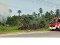 BPBD Padamkan Kebakaran Sisa Pembersihan Lahan