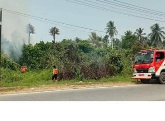 BPBD Padamkan Kebakaran Sisa Pembersihan Lahan