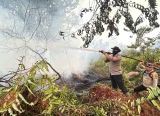 Photo of Perlindungan Kesehatan, Pendidikan, dan Bansos Disiapkan bagi Korban Karhutla