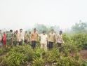 Presiden Prabowo Tinjau Penanganan Karhutla di Kalbar, Pangdam XII/Tpr Bersama Forkopimda Pastikan Sinergi di Lapangan