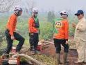 Pemerintah Siagakan Kekuatan Darat dan Udara Tangani Karhutla