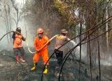 Photo of Tim Gabungan Gerak Cepat, Karhutla 1,3 Hektare di Sabang Merah Sanggau Berhasil Dipadamkan