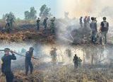 Photo of Tim Siaga Karhutla Brimob Kalbar Padamkan Api di Tiga Titik Ketapang