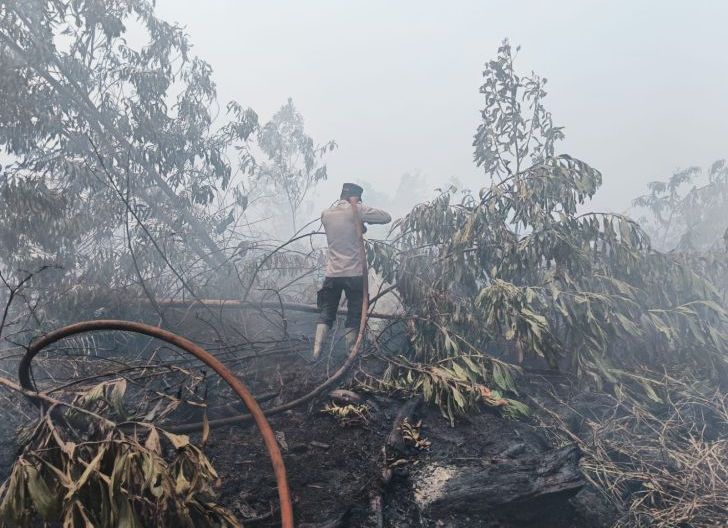 Photo of Terpantau 11 Titik Api di Kelurahan Pangmilang Singkawang Selatan