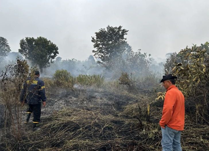 Photo of Sekitar 13,5 Hektare Lahan di Singkawang Utara Terbakar