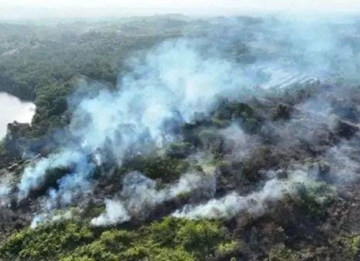 Photo of Penegakan Hukum Karhutla Diperkuat, Korporasi Nakal Disanksi Tegas