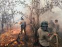 Kabut Asap Melanda Singkawang, Pemkot Diminta Jangan Abai terhadap Pengorbanan BPKS
