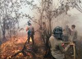 Photo of Kabut Asap Melanda Singkawang, Pemkot Diminta Jangan Abai terhadap Pengorbanan BPKS