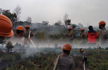 Cegah Karhutla Kembali Meluas, Tim Siaga Brimob Kalbar Padamkan Titik Api dan Lakukan Pembasahan Lahan di Kubu Raya