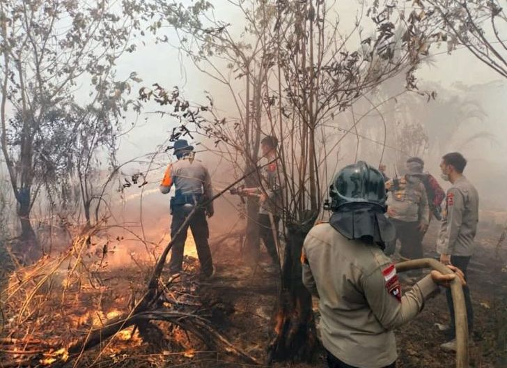 Photo of Kabut Asap Melanda Singkawang, Pemkot Diminta Jangan Abai terhadap Pengorbanan BPKS