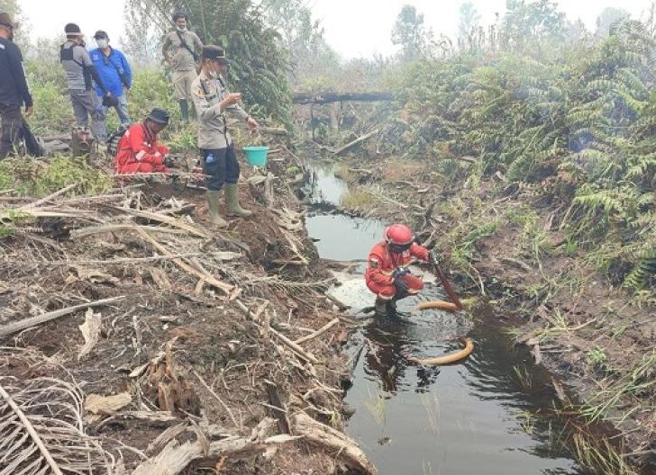 Photo of Kebakaran Lahan Gambut di Singkawang Capai 37,27 Hektar