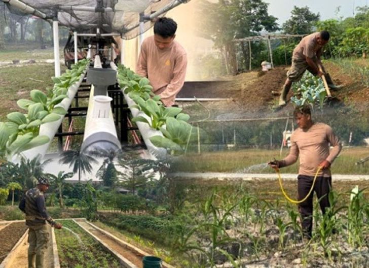 Photo of Sulap Lahan Kosong Jadi Produktif, Satbrimob Polda Kalbar Dukung Swasembada Pangan Nasional
