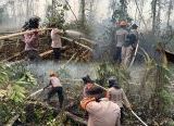 Photo of Temukan Api Saat Patroli, Tim Siaga Karhutla Brimob Kalbar Bergerak Cepat Padamkan Kebakaran Lahan