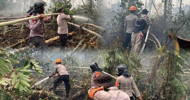 Temukan Api Saat Patroli, Tim Siaga Karhutla Brimob Kalbar Bergerak Cepat Padamkan Kebakaran Lahan