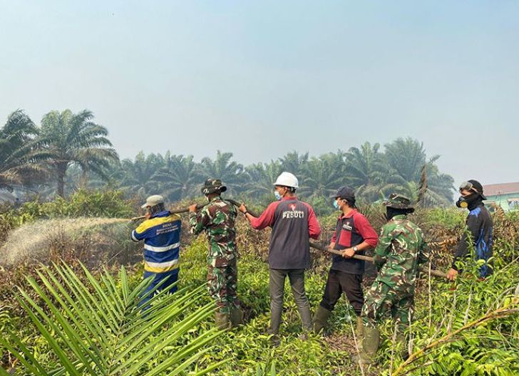 Photo of Sinergi Lintas Sektor Penting untuk Penanganan Karhutla di Kayong Utara