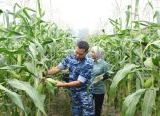 Photo of Lanud Supadio Panen Jagung, Dukung Ketahanan Pangan Nasional