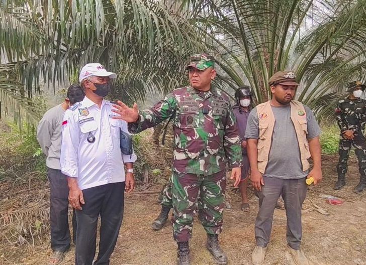 Photo of Karhutla Melawi Jadi Sorotan, Satgas Mabes TNI Minta Perusahaan Asal Malaysia Tak Lepas Tangan