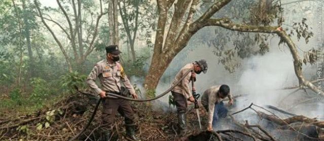 Sinergi Lintas Instansi Lanjutkan Pendinginan dan Pemadaman Karhutla di Kelurahan Sei.Rasau Singkawang Utara