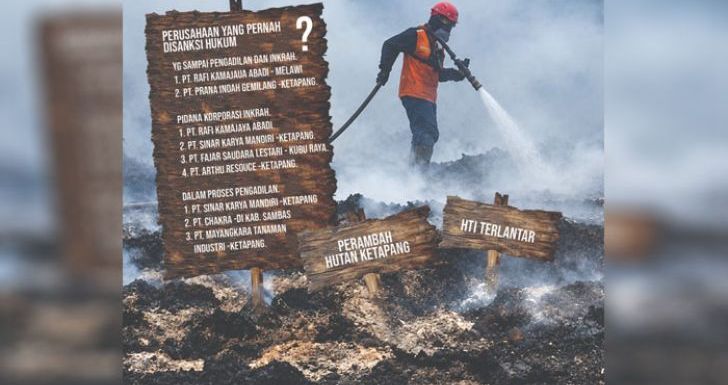 Tim Gabungan Tangkap Perambah Hutan Ketapang, Izin HTI PT Sinar Mas Seluas 1 Juta Hektare Diduga Diterlantarkan