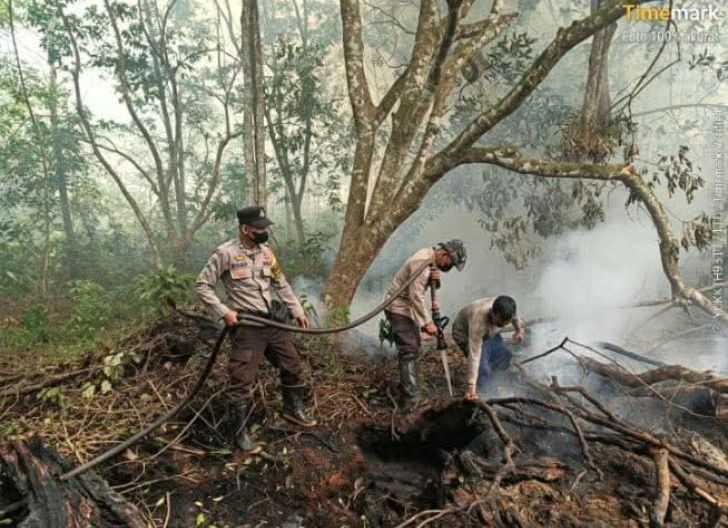 Photo of Sinergi Lintas Instansi Lanjutkan Pendinginan dan Pemadaman Karhutla di Kelurahan Sei.Rasau Singkawang Utara