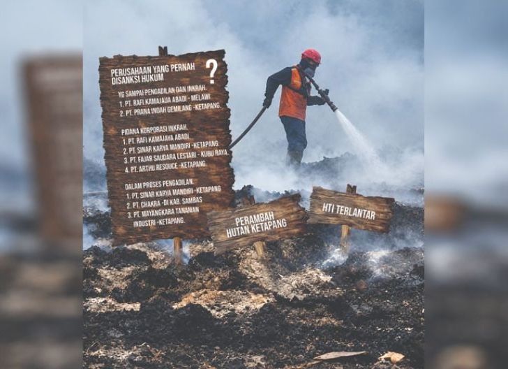 Photo of Tim Gabungan Tangkap Perambah Hutan Ketapang, Izin HTI PT Sinar Mas Seluas 1 Juta Hektare Diduga Diterlantarkan