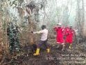 Api Lahap Kebun Karet Warga di Kubu Raya, PT NJP Klaim Arealnya Masih Aman