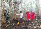 Photo of Api Lahap Kebun Karet Warga di Kubu Raya, PT NJP Klaim Arealnya Masih Aman