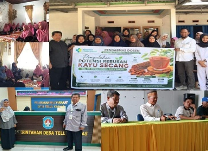 Photo of Dosen Poltekkes Kemenkes Pontianak Edukasi Warga Teluk Kapuas Manfaat Kayu Secang untuk Kontrol Gula Darah