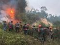 Pemadaman Karhutla di Bukit Seraya Tayan Hilir Libatkan 88 Personel, Medan Terjal Jadi Tantangan