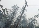 Photo of Gerak Cepat PLN Pulihkan Jaringan Listrik Terdampak Karhutla di Ketapang