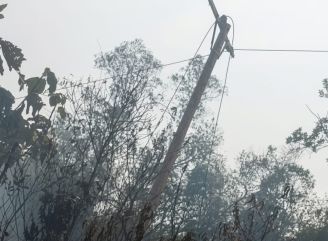Gerak Cepat PLN Pulihkan Jaringan Listrik Terdampak Karhutla di Ketapang