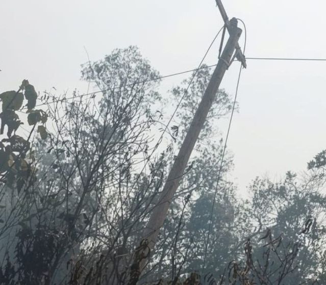 Gerak Cepat PLN Pulihkan Jaringan Listrik Terdampak Karhutla di Ketapang