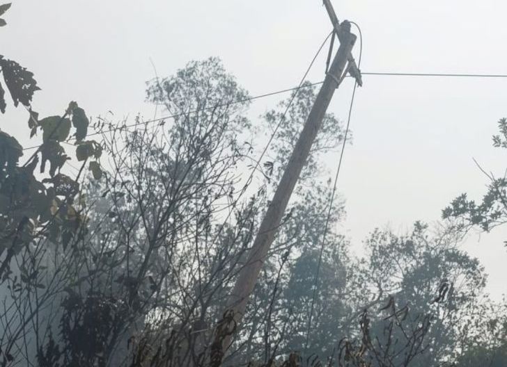 Photo of Gerak Cepat PLN Pulihkan Jaringan Listrik Terdampak Karhutla di Ketapang
