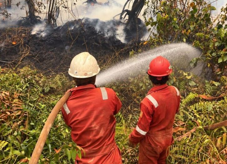 Photo of Mayawana Persada dan Mitra Padamkan Titik Api di Zona Penyangga