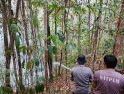 Karhutla Ancam Kawasan Hutan Adat Birapati
