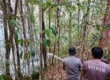 Photo of Karhutla Ancam Kawasan Hutan Adat Birapati