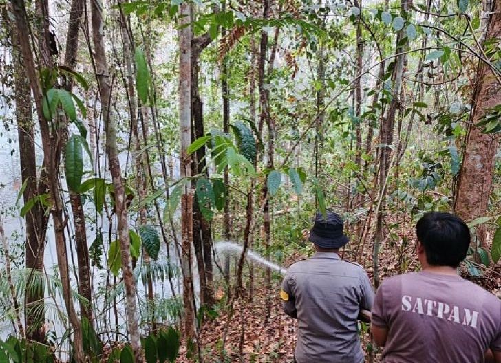 Photo of Karhutla Ancam Kawasan Hutan Adat Birapati
