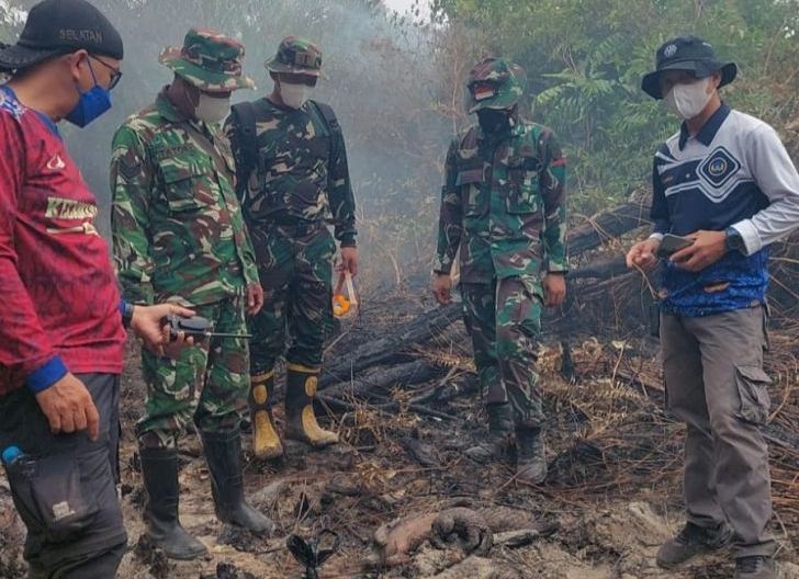 Photo of Tim Gabungan Singkawang Temukan Tiga Ekor Trenggiling Mati di Lokasi Karhutla