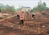 Photo of Lahan 1,5 Hektare Mulai Ditanami Jagung, Polsek Toba Dorong Petani Produktif