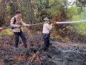 Gerak Cepat Tangani Karhutla di Sungai Sengkuang, Tim Gabungan Padamkan Api