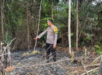 Cegah Api Kembali Menyala, Polsek Toba Monitor Lahan Karhutla di Pangkalan Tukas