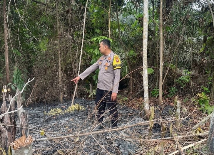 Photo of Cegah Api Kembali Menyala, Polsek Toba Monitor Lahan Karhutla di Pangkalan Tukas