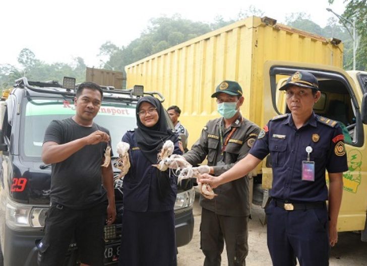 Photo of Ekspor Perikanan dari Jagoi Babang Mencapai 676,96 Ton