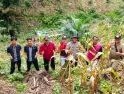 Hasilkan Estimasi 2 Ton per Hektare, Panen Jagung Poktan Usaha Baru Dorong Petani Terus Produktif