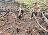 Photo of Dari Lahan Warga untuk Ketahanan Pangan, Polsek Meliau Tanam Jagung Bersama Masyarakat Enggadai