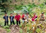 Photo of Hasilkan Estimasi 2 Ton per Hektare, Panen Jagung Poktan Usaha Baru Dorong Petani Terus Produktif